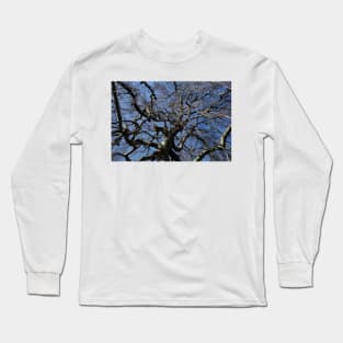 Bare tree with branches in winter, Germany Long Sleeve T-Shirt